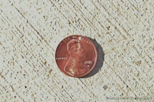 Penny on the ground